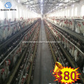Poultry Equipment With Battery Cage